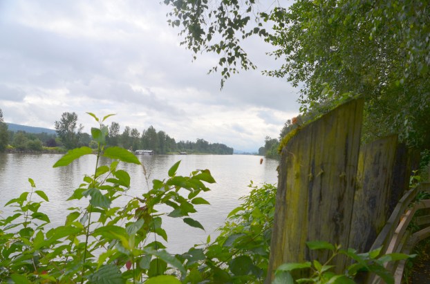 Canada new book launch 125