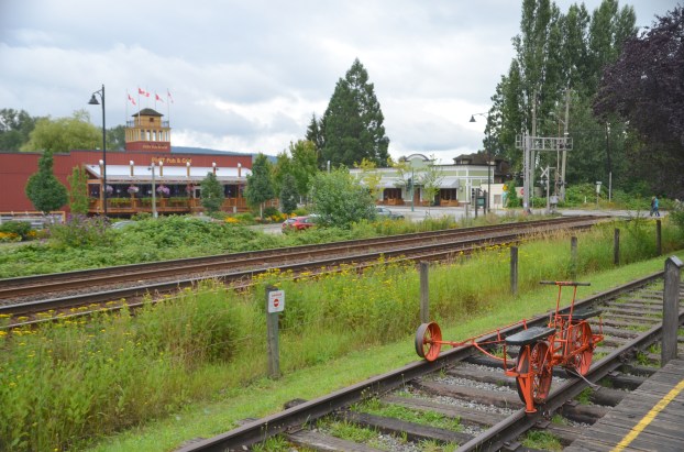 Canada new book launch 131