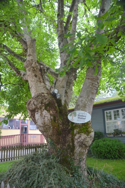 Canada new book launch 136