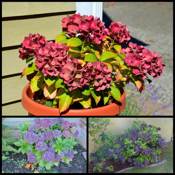 2016-09-20-signs-of-fall