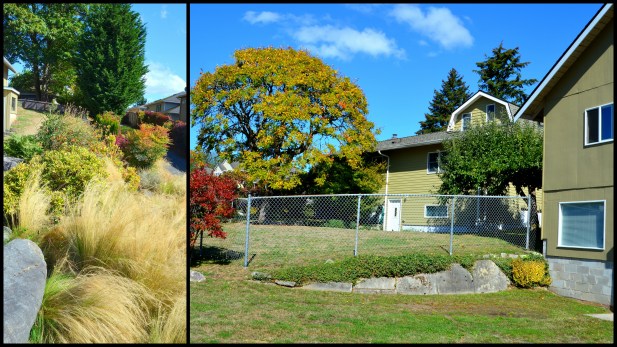 2016-09-20-signs-of-fall2