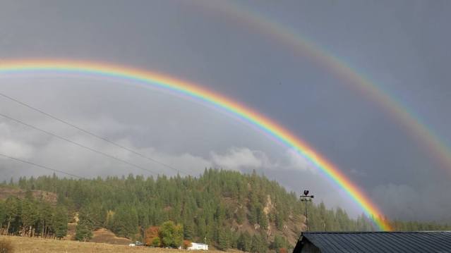 14650506_10211000870686001_6220290536539022071_n