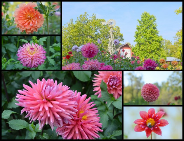 2016-09-26-heritage-tour