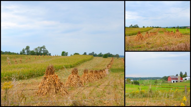 2016-09-28-sugarcreek1