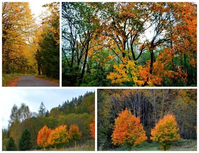 2016-10-10-fall-drive