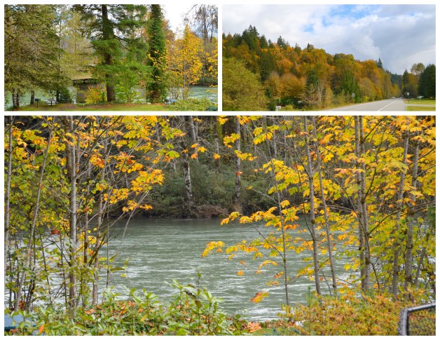 2016-10-10-fall-drive1