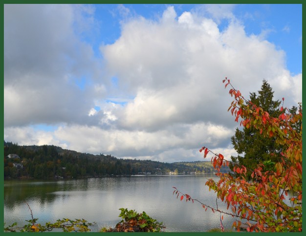 2016-10-10-fall-drive2