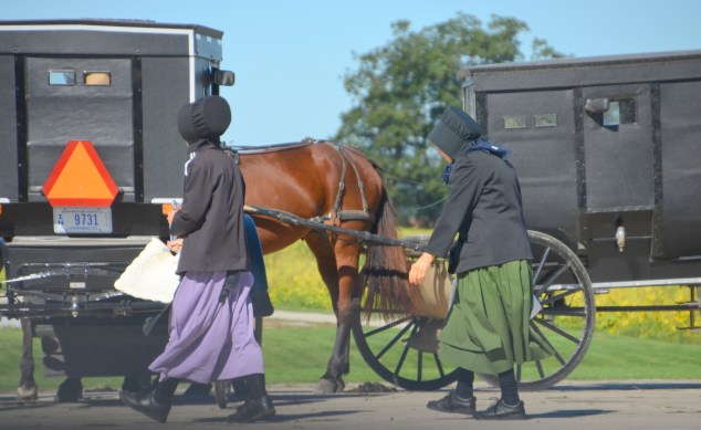 tuesday-in-shipshe-018
