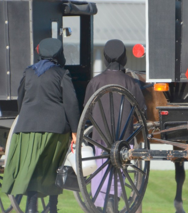 tuesday-in-shipshe-020