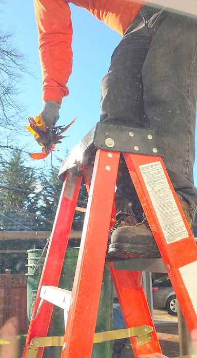 14925773_10211173957973075_4035581957498345878_n