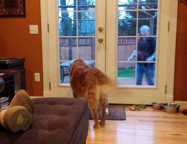 15241842_10211385034569858_278018624717762034_n