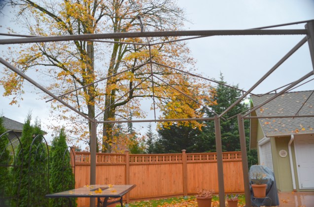 fall-pumpkin-cake-003