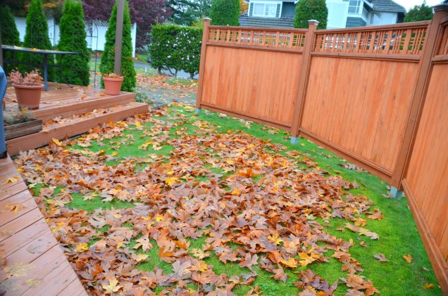 fall-pumpkin-cake-011