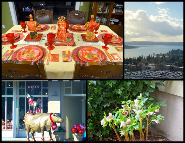 2016-02-11-february-plants-and-food6