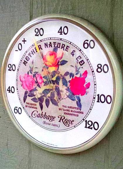 15894538_10211789411759035_1305461421566904195_n