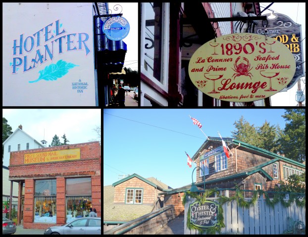 2017-01-05-pepperidge-farm-book1