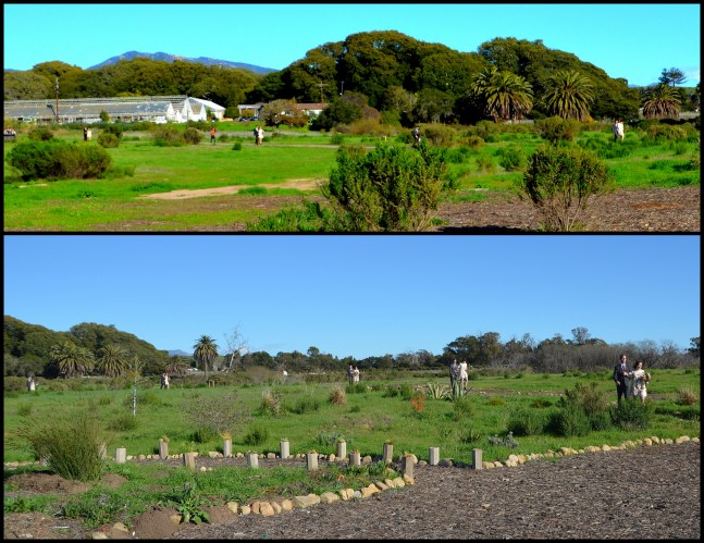 2017-01-14-joe-hannah7