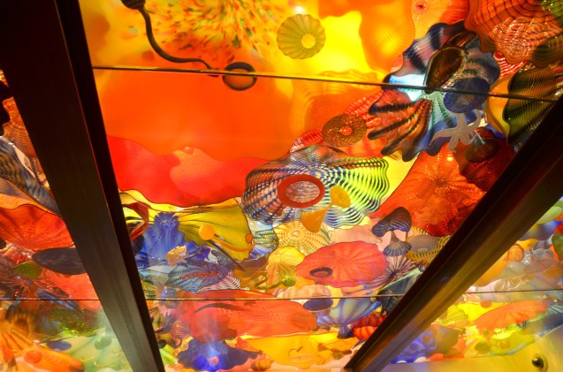 chihuly-016