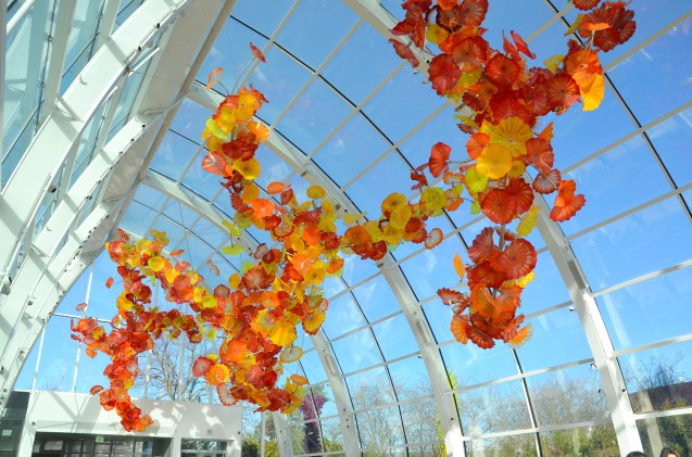 chihuly-041