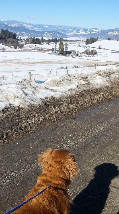 16864153_10212279336806855_7755786201313029668_n