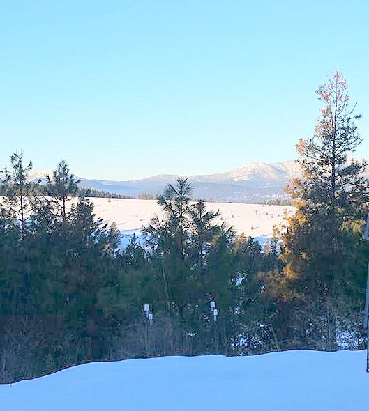 16938696_10212277920891458_4626516213707623377_n