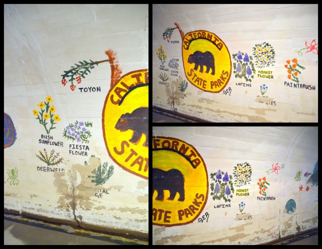 2017-01-21-crystal-cove5