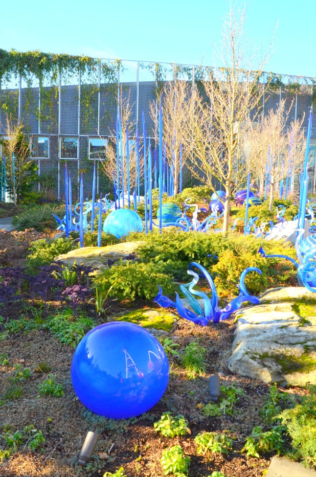chihuly-049
