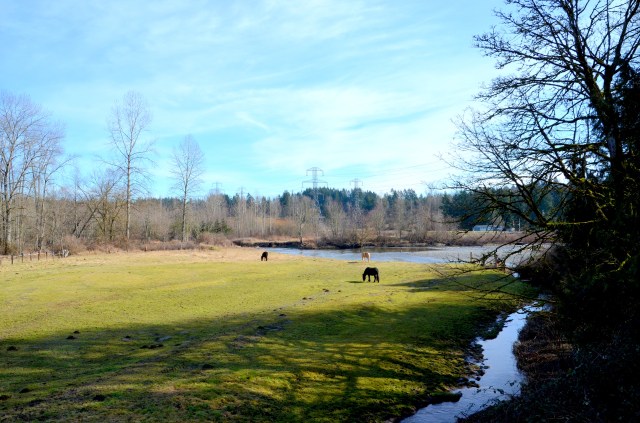 snoho-trail-walk-004