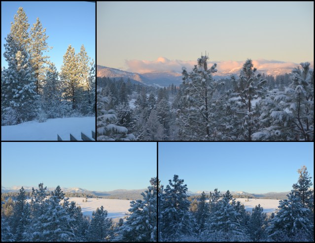 2017-03-01-more-snow-colville