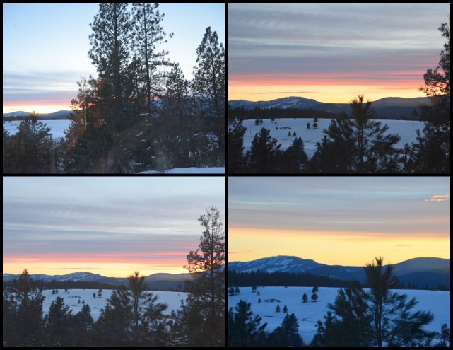 2017-03-01-more-snow-colville1